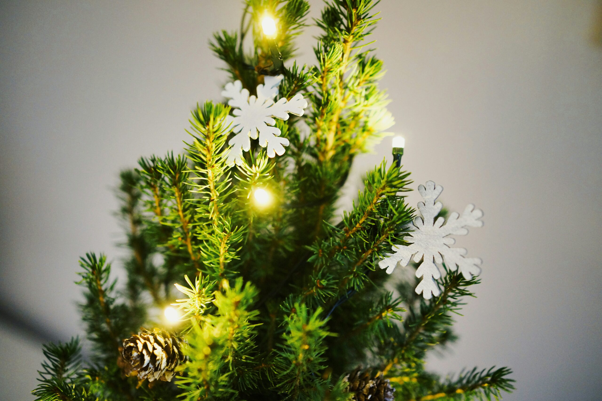 Culte de Noël